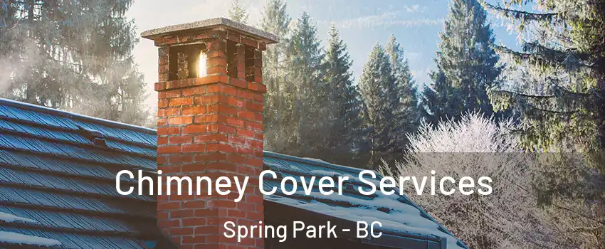  Chimney Cover Services Spring Park - BC