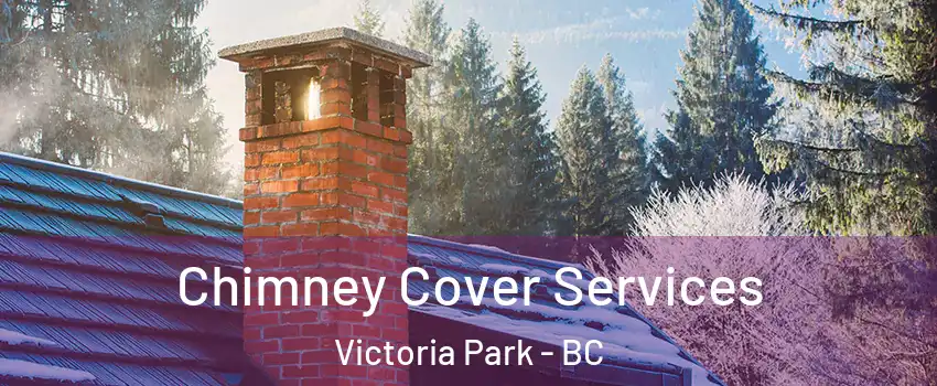  Chimney Cover Services Victoria Park - BC