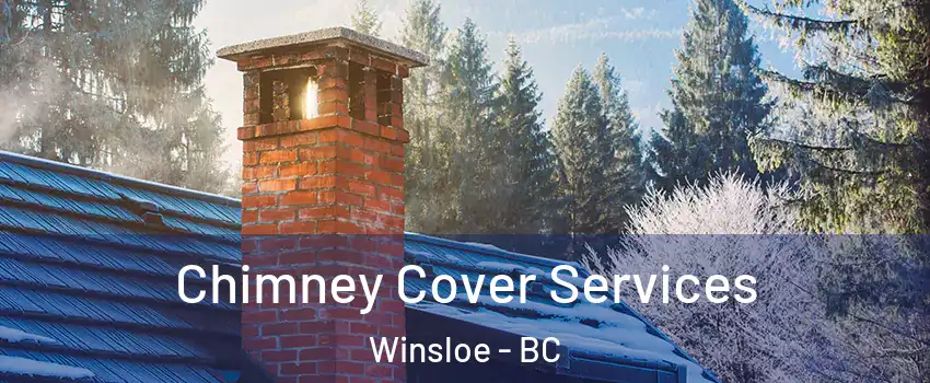 Chimney Cover Services Winsloe - BC