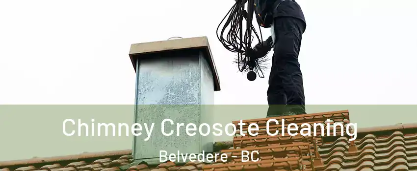 Chimney Creosote Cleaning Belvedere - BC