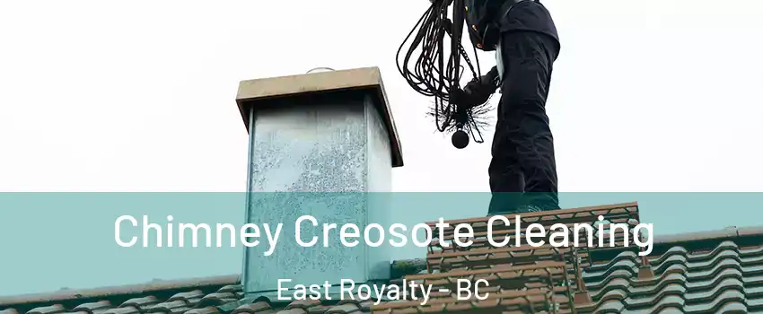  Chimney Creosote Cleaning East Royalty - BC