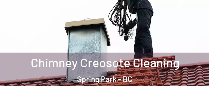 Chimney Creosote Cleaning Spring Park - BC