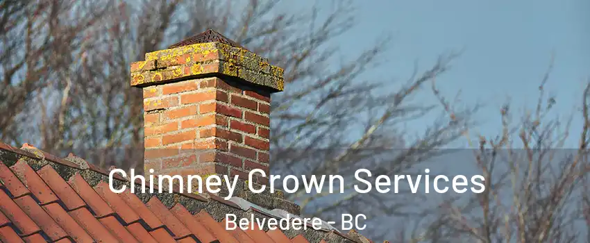  Chimney Crown Services Belvedere - BC