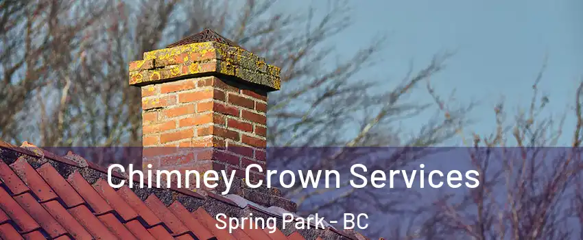  Chimney Crown Services Spring Park - BC