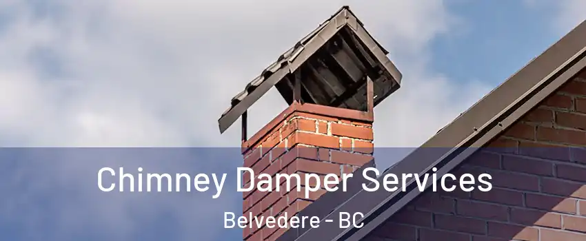  Chimney Damper Services Belvedere - BC