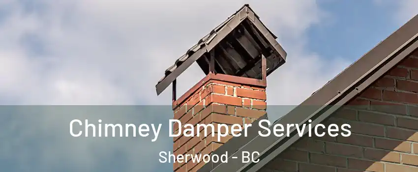  Chimney Damper Services Sherwood - BC