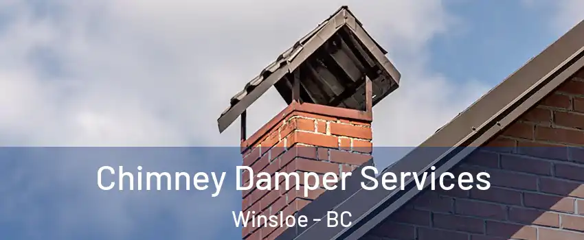  Chimney Damper Services Winsloe - BC