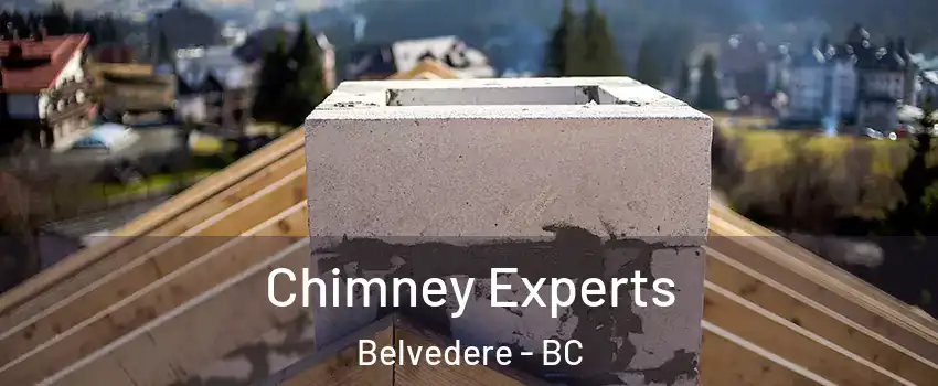  Chimney Experts Belvedere - BC