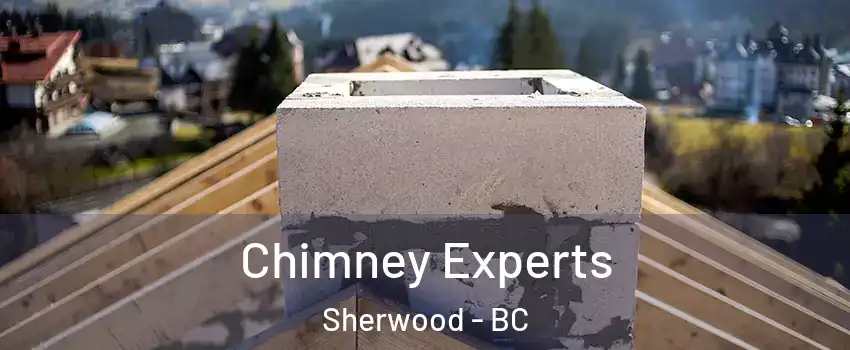 Chimney Experts Sherwood - BC