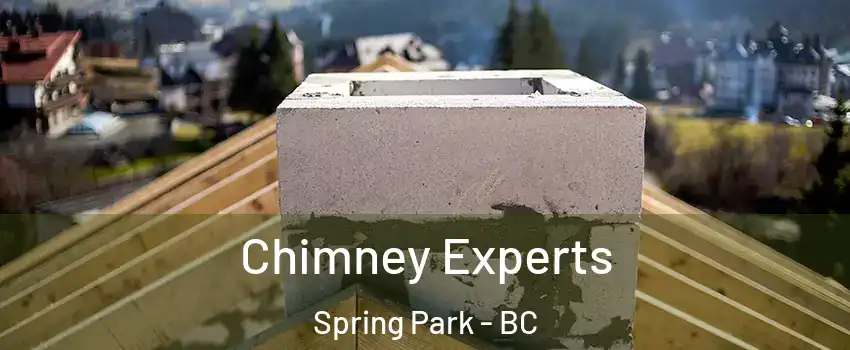  Chimney Experts Spring Park - BC