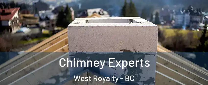  Chimney Experts West Royalty - BC