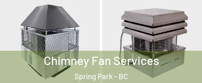  Chimney Fan Services Spring Park - BC