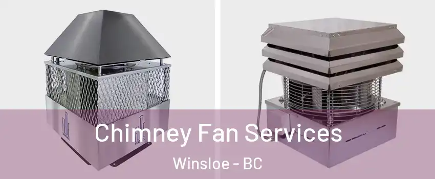  Chimney Fan Services Winsloe - BC