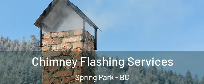  Chimney Flashing Services Spring Park - BC
