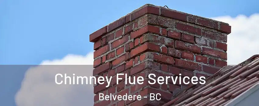  Chimney Flue Services Belvedere - BC
