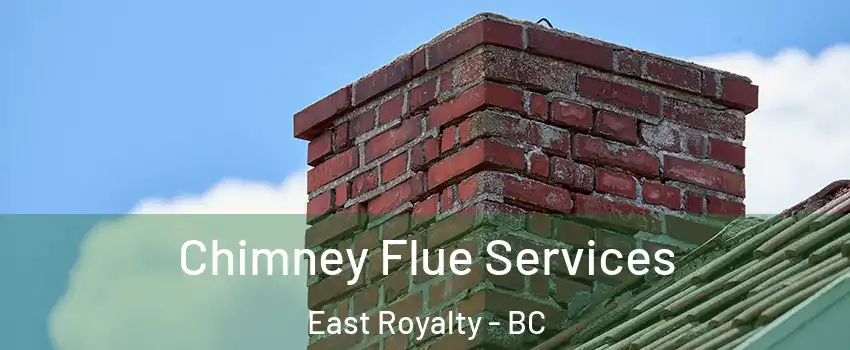  Chimney Flue Services East Royalty - BC