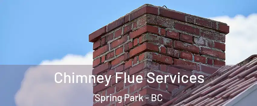  Chimney Flue Services Spring Park - BC