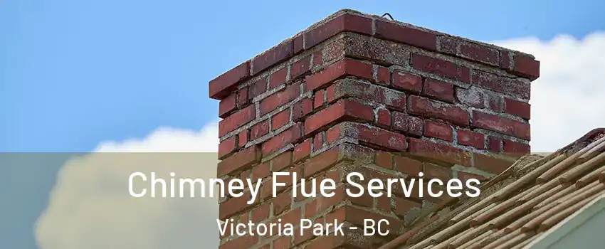  Chimney Flue Services Victoria Park - BC