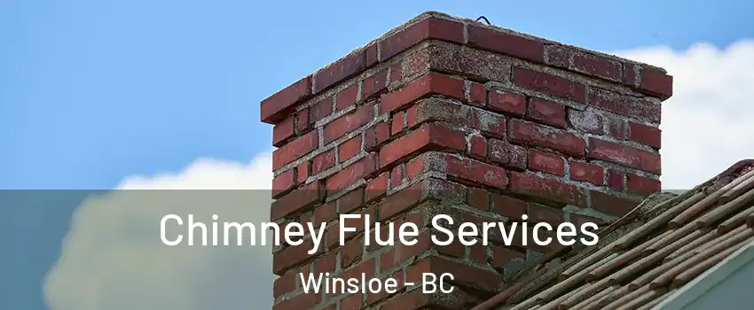 Chimney Flue Services Winsloe - BC