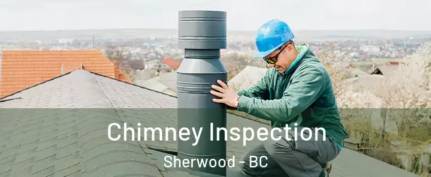  Chimney Inspection Sherwood - BC
