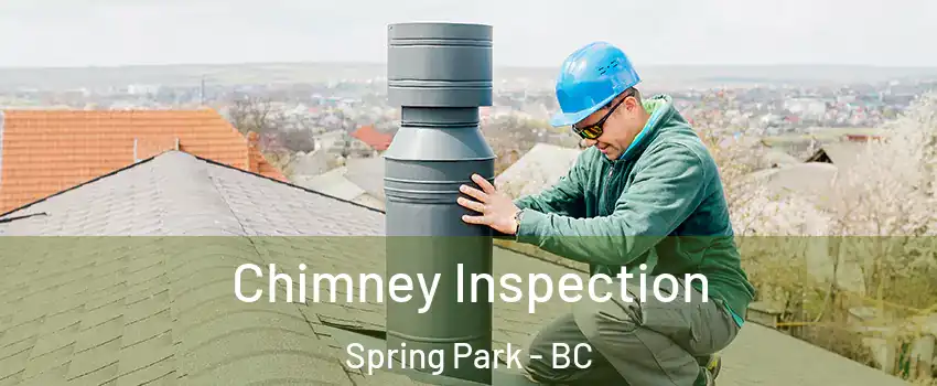  Chimney Inspection Spring Park - BC
