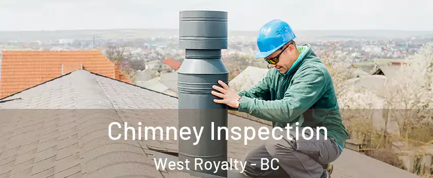  Chimney Inspection West Royalty - BC