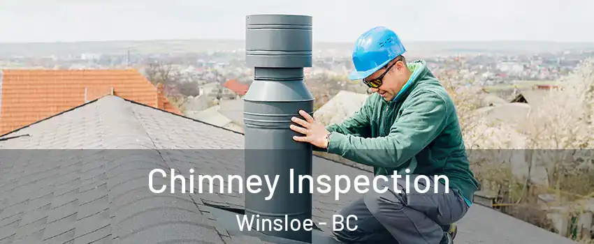 Chimney Inspection Winsloe - BC