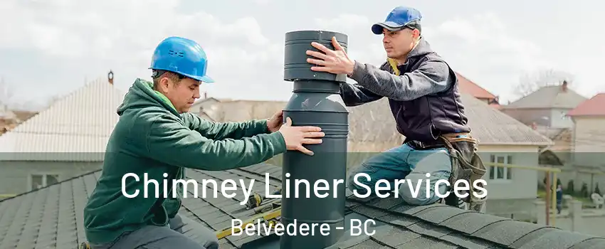  Chimney Liner Services Belvedere - BC
