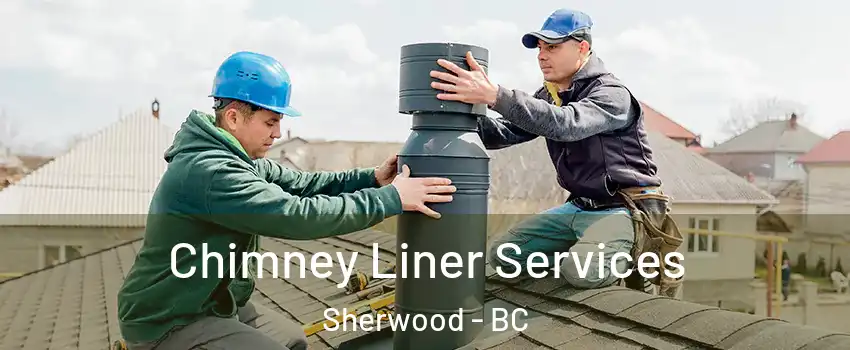  Chimney Liner Services Sherwood - BC