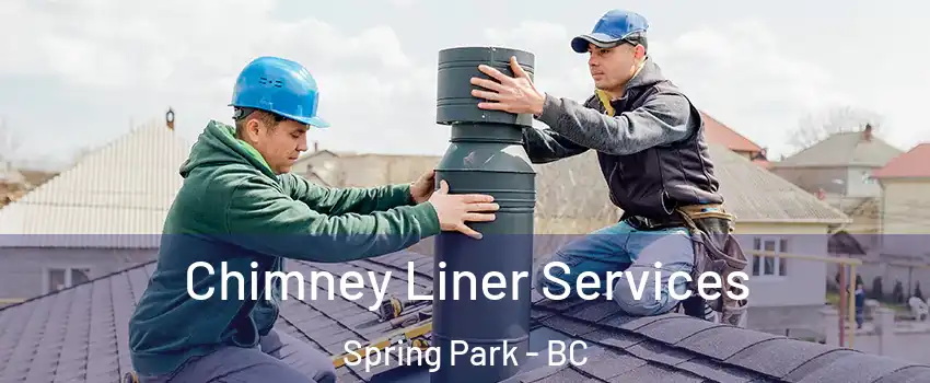  Chimney Liner Services Spring Park - BC