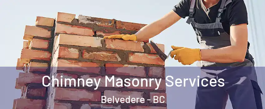  Chimney Masonry Services Belvedere - BC