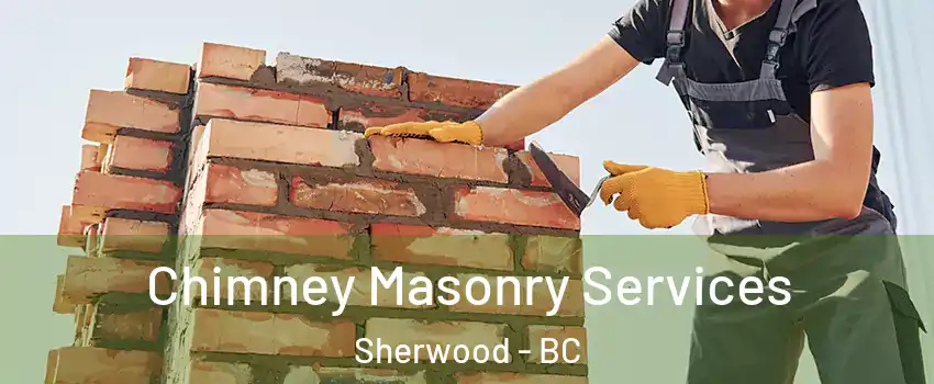 Chimney Masonry Services Sherwood - BC