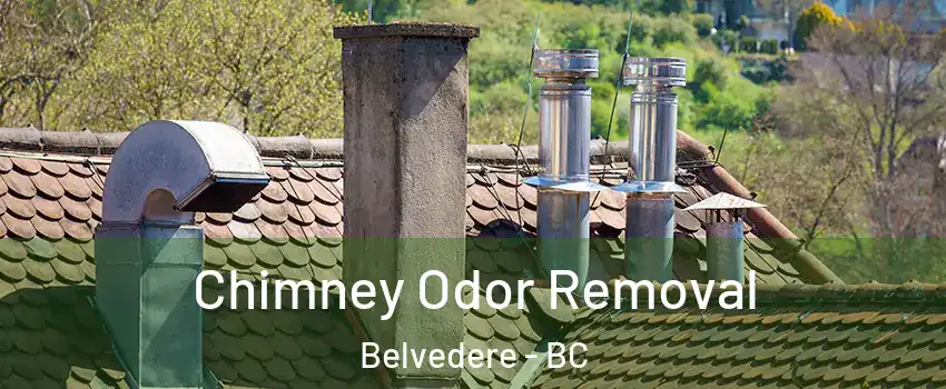  Chimney Odor Removal Belvedere - BC