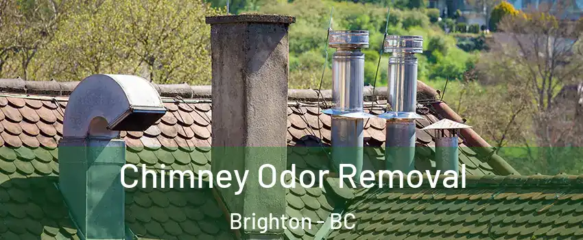  Chimney Odor Removal Brighton - BC