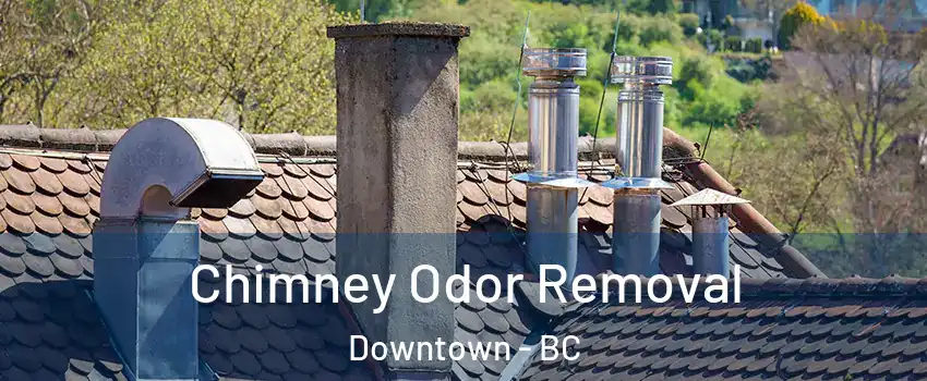 Chimney Odor Removal Downtown - BC