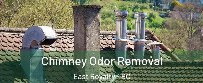  Chimney Odor Removal East Royalty - BC