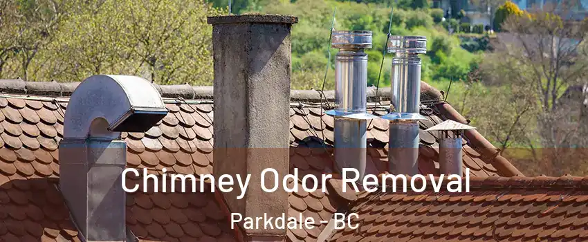  Chimney Odor Removal Parkdale - BC
