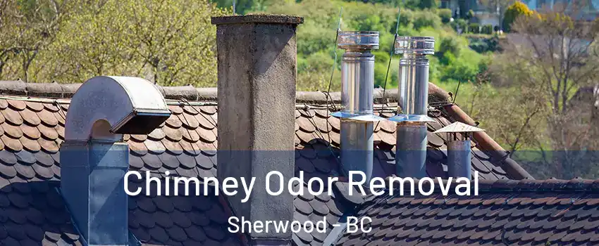  Chimney Odor Removal Sherwood - BC