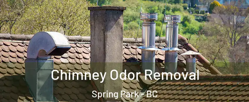  Chimney Odor Removal Spring Park - BC