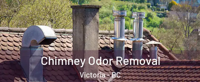  Chimney Odor Removal Victoria - BC