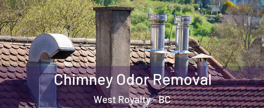  Chimney Odor Removal West Royalty - BC