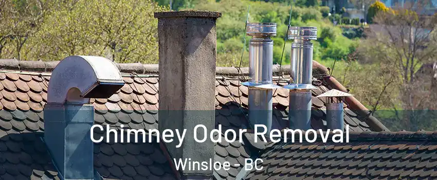  Chimney Odor Removal Winsloe - BC