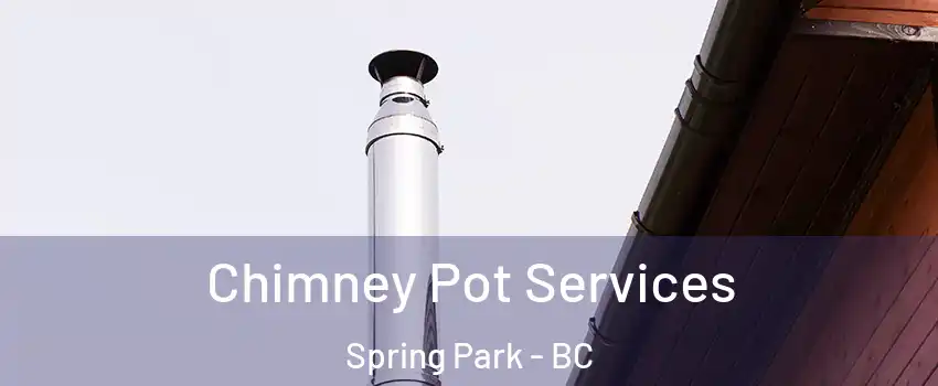  Chimney Pot Services Spring Park - BC