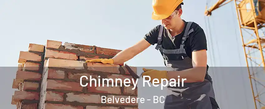  Chimney Repair Belvedere - BC