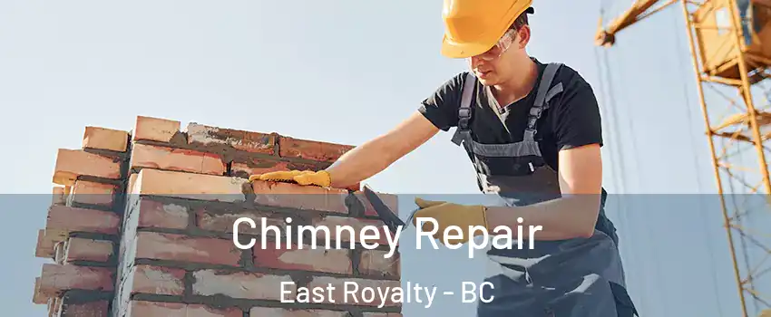  Chimney Repair East Royalty - BC