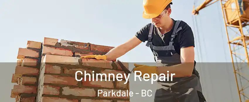  Chimney Repair Parkdale - BC