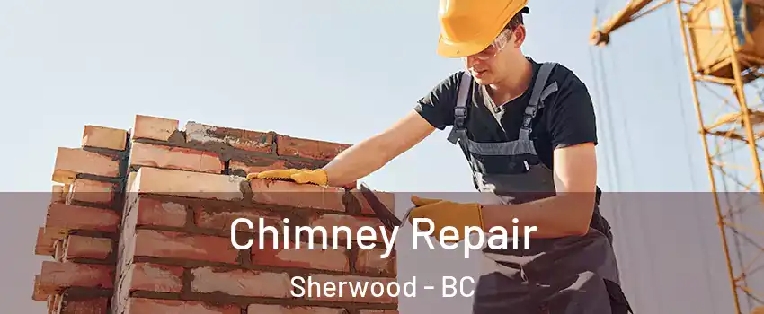  Chimney Repair Sherwood - BC