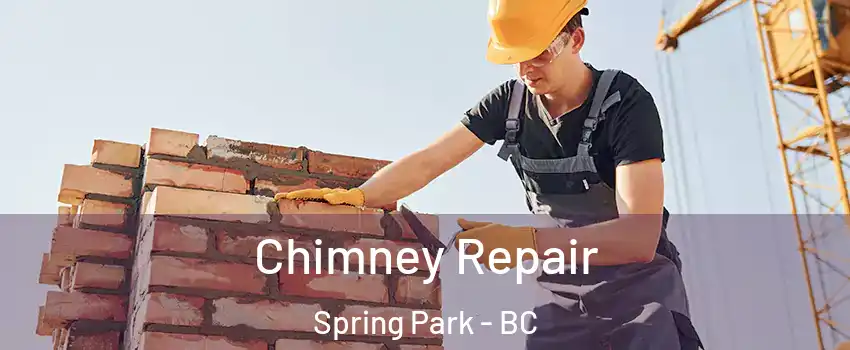  Chimney Repair Spring Park - BC
