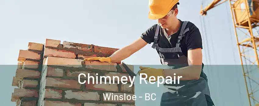  Chimney Repair Winsloe - BC