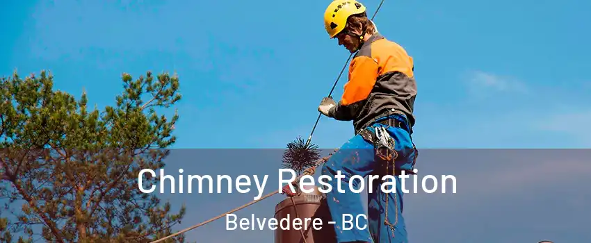  Chimney Restoration Belvedere - BC